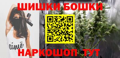 СК Боровичи
