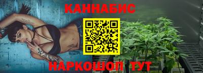 СК Боровичи