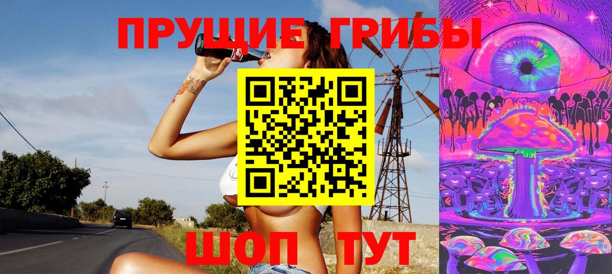 Орск  Галлюциногенные грибы Psilocybine cubensis  Вход с VPN 